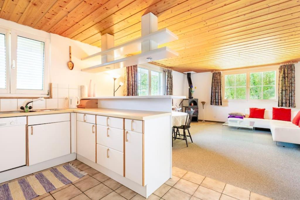 Eco-friendly Near Zh Rorbas