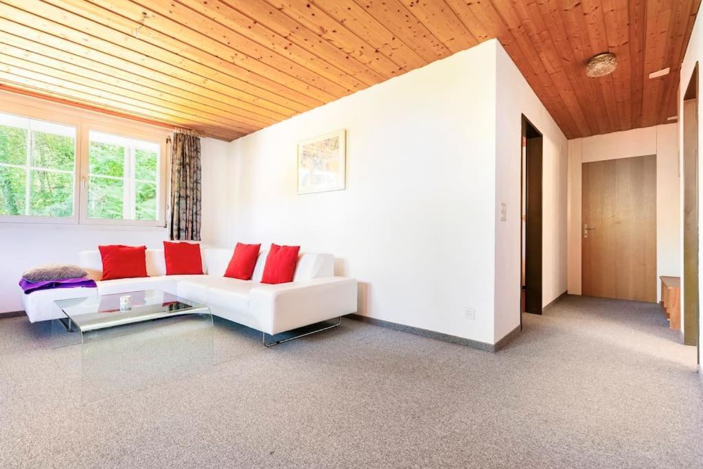 Eco-friendly Near Zh * Rorbas
