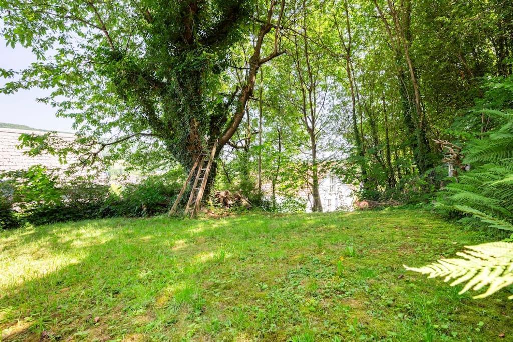 Eco-friendly Near Zh * Rorbas